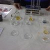 9. Међународни Фестивал Науке 2015.